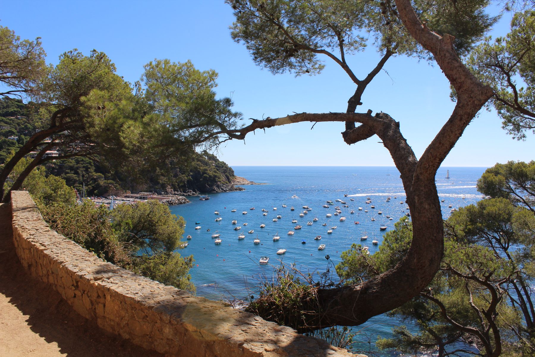 CAMI DE RONDA